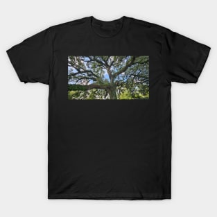 Tranquil Majesty: Audubon Park's Sprawling Oak Tree T-Shirt